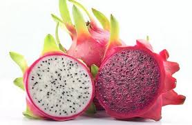 Fruta del Dragón  - Tropical Fruits Export Co Ltd